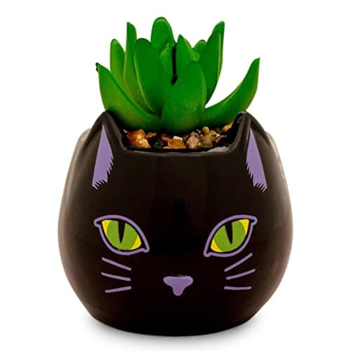 Toynk Disney Lilo & Stitch Full Body 5-Inch Ceramic Planter for Garden Décor  
Toynk Disney Lilo & Stitch Full Body 5-In