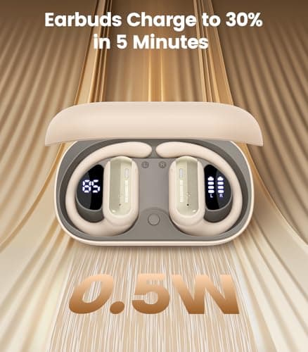 AI Translation Earbuds Real Time 164 Languages Translator Earbuds for Travel Business RecycledBluetooth Earphones Global